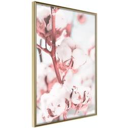 Arkiio Affisch Blooming Cotton [Poster] 40x60 Poster